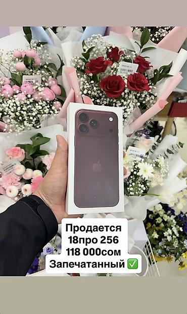 семейная баня аламедин 1: IPhone 18 Pro, 256 ГБ — бургунди цвет корпуса (на коробке) — 1