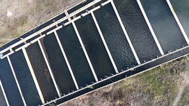 Torpaq sahələrinin satışı: 300 sot, Kənd təsərrüfatı, Mülkiyyətçi, Texniki pasport, Kupça (Çıxarış) — 3