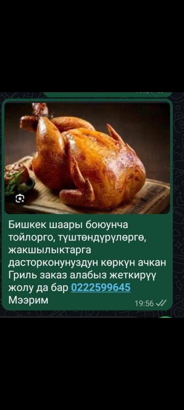 отдам котенка бесплатно: Бишкек шаары боюунча тойлорго, түштөндүрүлөргө, жакшылыктарга