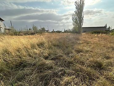 кызыл кия кыз: 5 соток, Курулуш, Сатып алуу-сатуу келишими — 1
