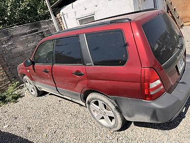 forest: Subaru Forester: 2003 г., 2.5 л, Механика, Бензин, Универсал — 6