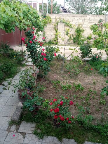 Bağ evlərinin satışı: Digah, 23 kv. m, 3 otaqlı, Qaz, İşıq, Su — 8