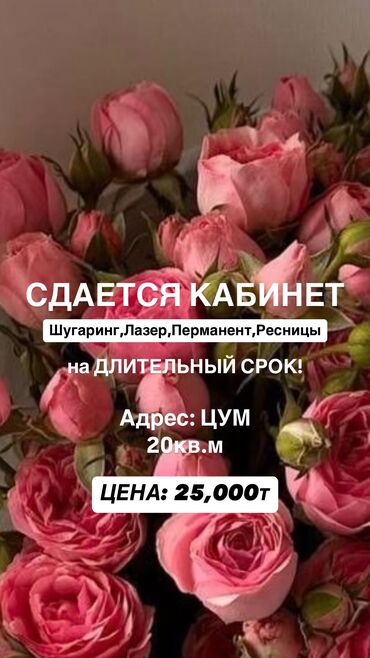 Кабинеты в салонах красоты: Сдаю Кабинет в салоне, 20 м², Для бровиста, Для визажиста, Для лешмейкера