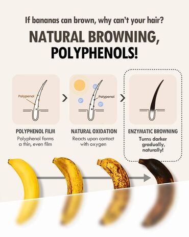 Saçlara qulluq: Saç şampunu, Yeni, Ünvandan götürmə, Pulsuz çatdırılma, Ödənişli çatdırılma — 7