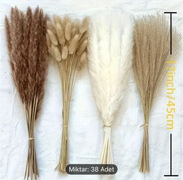 Süni güllər: Green Line Qurudulmuş Dekor Otları – Təbii Gözəllik, Zərif Sadəlik! 📏 — 3