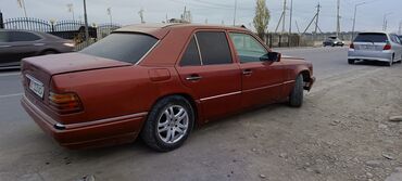 Mercedes-Benz: Mercedes-Benz W124: 1995 г., 2.5 л, Механика, Дизель, Седан — 1