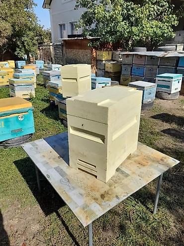 Товары и оборудование для с/х животных: ППУ ульи для пчел 6ти рамочный. Пенополиуретановые ульи для — 8