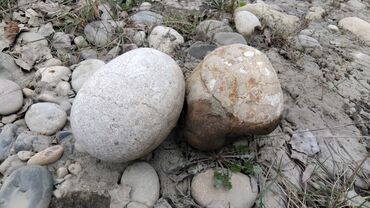 Dekorativ daşlar: Hər ölçüdə dekorativ daşların satışı və işlərin görülməsi çay daşları -da lalafo.az — 15 Dekorativ daşlar: Hər ölçüdə dekorativ daşların satışı və işlərin görülməsi çay daşları — 15