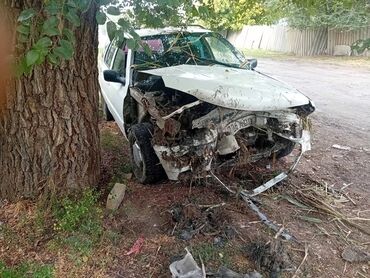 кенда шины: Volkswagen Golf: 1994 г., 1.8 л, Механика, Бензин