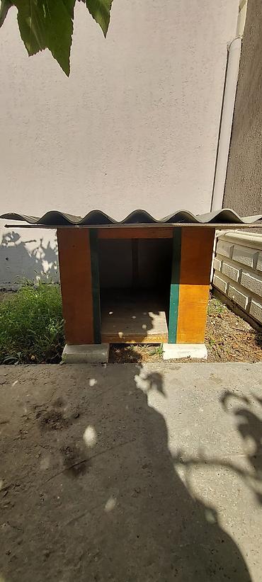 Домики: Taxta it evi - Material: möhkəm taxta korpus, yanları boyalı; üst — 1