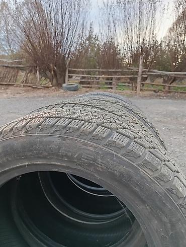 apollon r18: Шины 205 / 55 / R 16, Зима, Б/у, Комплект, Внедорожные (АТ/МТ), Китай — 5