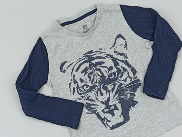 bluza lupilu: Bluza, Lupilu, 5-6 lat, 110-116 cm, stan - Idealny