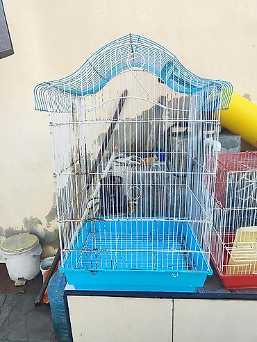 akvarium hava: Quş qəfəsi - Material: metal çərçivə, plastik altlıq - Rəng: ağ metal — 1