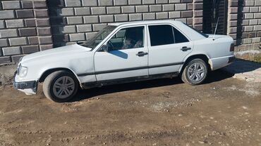 Mercedes-Benz: Mercedes-Benz 220: 1989 г., 2.3 л, Механика, Бензин, Седан