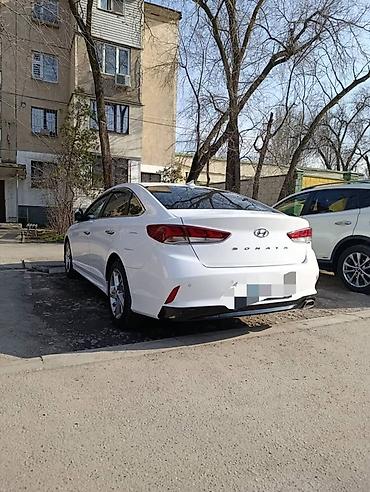 Другие автоуслуги: Сдаю в аренду Hyundai Sonata, белый седан бизнес-класса (рестайлинг) — 3