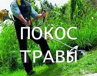 сварочный работы: УСЛУГИ САДОВНИКА | ПОКОС ТРАВЫ 🌿 Предлагаю услуги по покосу травы и — 1