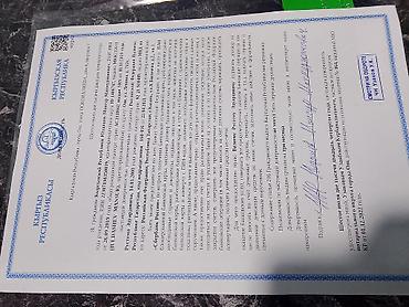 Укладка плитки: Профессиональная укладка плитки и устройство душевых зон под ключ — 16