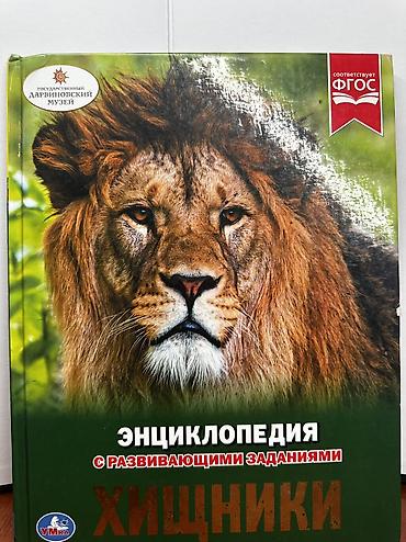 За все 1000 at lalafo.kg За все 1000