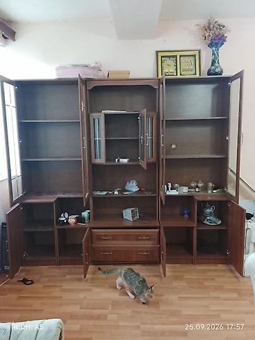agac satilir: İşlənmiş, Divan, Kredit yoxdur — 8