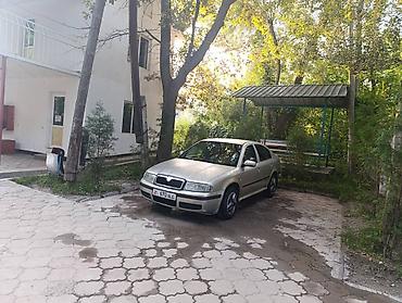 кочкор авто: Skoda Octavia: 2005 г., 1.6 л, Кол менен иштөөчү, Бензин, Roadster — 1