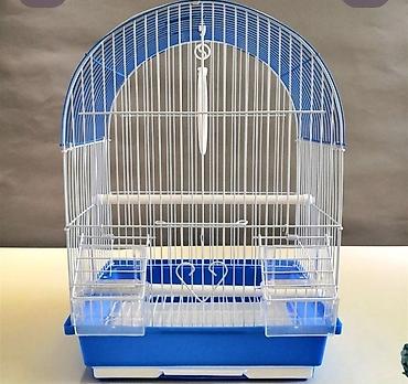 Digər quşlar: ✨ Hazır sarı e lquşlarıdanişdirmaq tam rahat olurr satışda! 🐦✨ Parlaq — 14