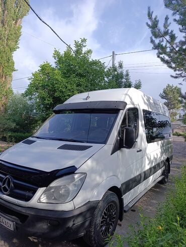 Автобусы и маршрутки: Автобус, 2009 г.