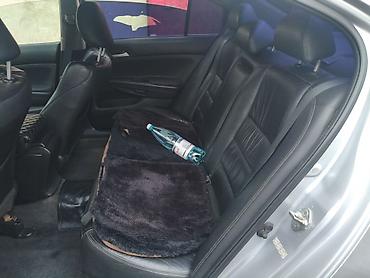Acura: Honda Accord: 2012 г., 2.4 л, Автомат, Бензин, Седан — 2