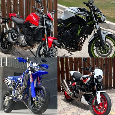 все для мото: Мото салон "Elite Rider" приветствует Вас. В наличии мотоциклы