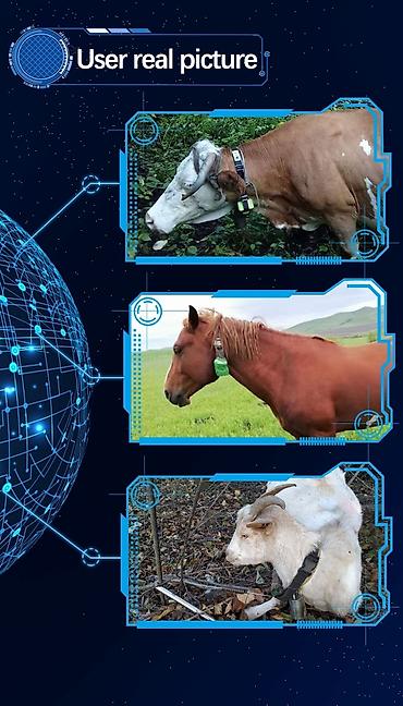 лоп: Gps трекеры универсальные с защитной коробкой.Аккумулятор 10000 — 4