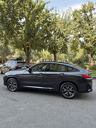 BMW: BMW X4: 2023 г., 2 л, Автомат, Бензин, Кроссовер — 8