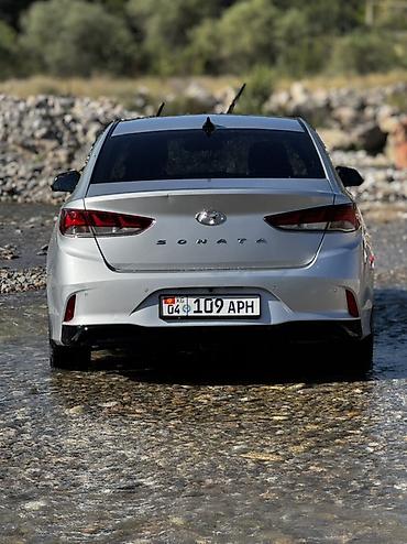sonata: Hyundai Sonata: 2021 г., 2 л, Автомат, Газ, Седан — 2