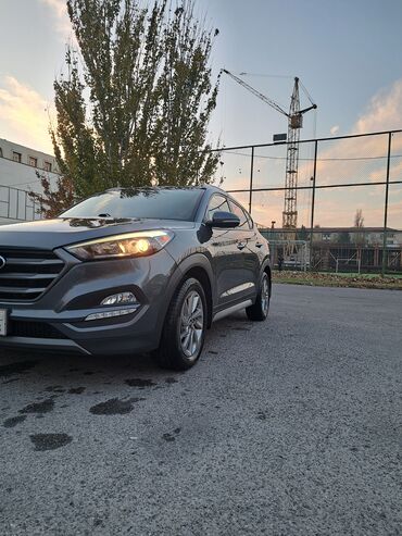 Hyundai: Hyundai Tucson: 2 l | 2019 il Ofrouder/SUV