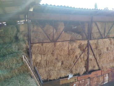 үй жаныбарлары: Сено и солома в тюках - Прессованные тюки прямоугольной формы