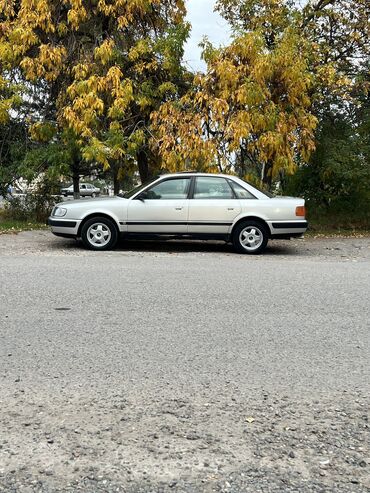 с4 2 0: Audi 100: 1993 г., 2.6 л, Механика, Газ, Седан