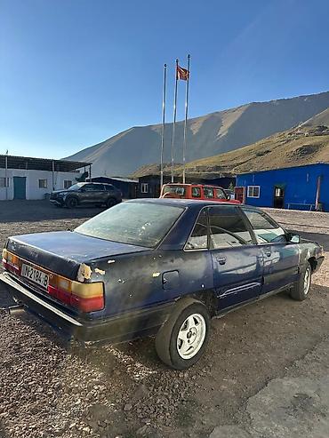 литые диски опель омега б: Audi 100: 1989 г., Седан — 4