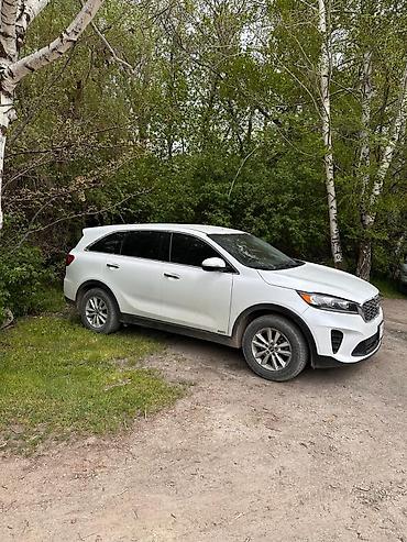bmw e29: Kia Sorento: 2019 г., Автомат, Бензин, Кроссовер — 3