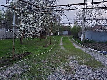 Продажа коттеджей и домов: Продаю дом Нижняя-Аларча ул.Новая/школьный переулок 1,5 этажный дом — 20