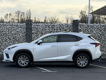 Lexus: Lexus NX: 2020 г., 2 л, Автомат, Бензин, Кроссовер — 8