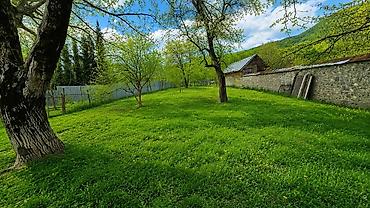 tap az bineqedide heyet evleri: 15 sot, Tikinti, Mülkiyyətçi, Kupça (Çıxarış) — 5