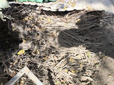 уголь каракече бешсары шабыркуль каражыра доставка бишкек купить: Дрова Бесплатная доставка