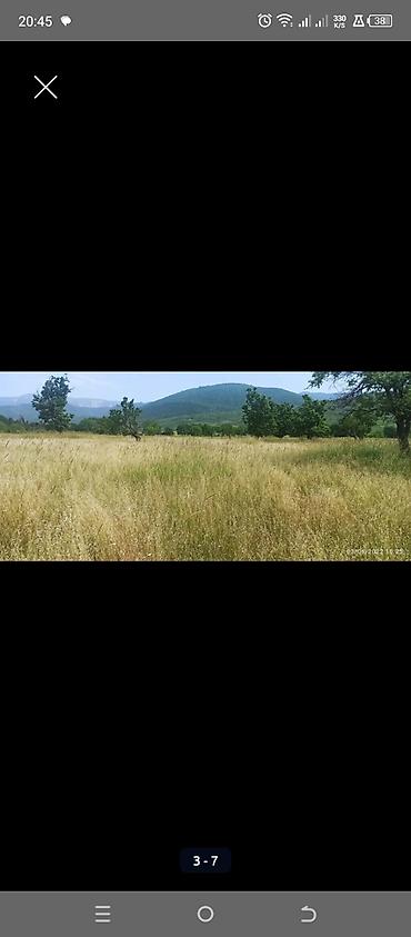 Torpaq sahələrinin satışı: Kənd təsərrüfatı — 5