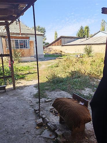 продажа домов с бизнесом: Дом с двором и хозяйственными постройками - Одноэтажный жилой дом с — 3