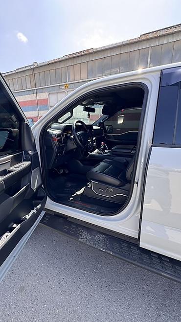 пол выкуп: Ford F-150: 2024 г., 3.5 л, Автомат, Бензин, Пикап — 9