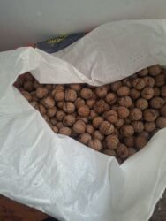 макадамский орех цена: Грецкий орех в скорлупе - Цельные орехи в прочной скорлупе, рассыпью