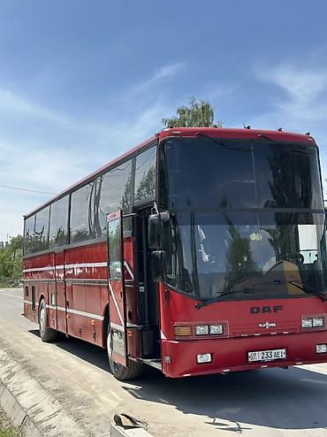 лайнеры: Автобус, DAF, 40 и более мест — 1