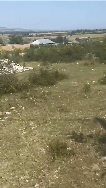 11 sot, Tikinti, Barter mümkündür, Kupça (Çıxarış)