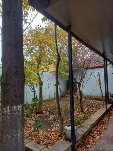 Restoran, kafelər: Tecili Heyder Eliyev prospektinde Wefa stadiondan uzu Korogluya esas — 2