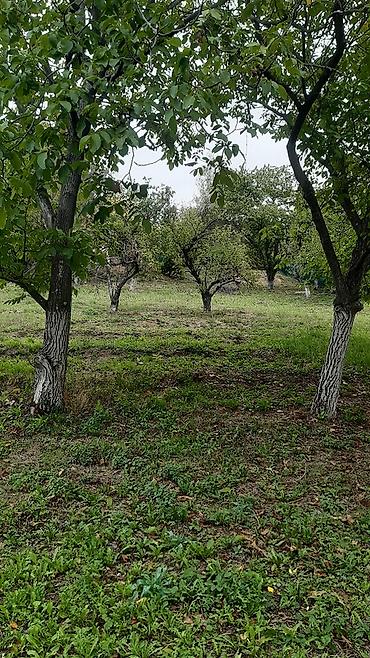 kuce na prodaju kovin: Građevinsko zemljište 1.078 m2 – Sovljak, 2 km od Velike Remete (3 km — 5