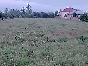 Torpaq sahələrinin satışı: 87 sot, Tikinti, Mülkiyyətçi, Kupça (Çıxarış) — 13