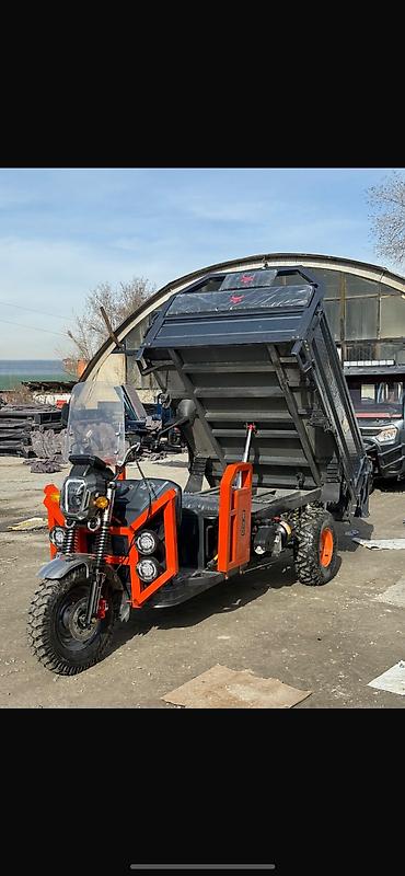 byd yan: Мотороллер муравей Электро, 50 км, 1500 кг и более, Новый — 1